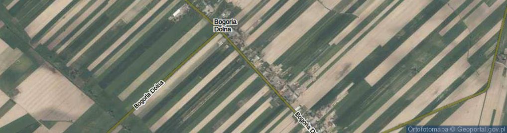 Zdjęcie satelitarne Bogoria Dolna ul.